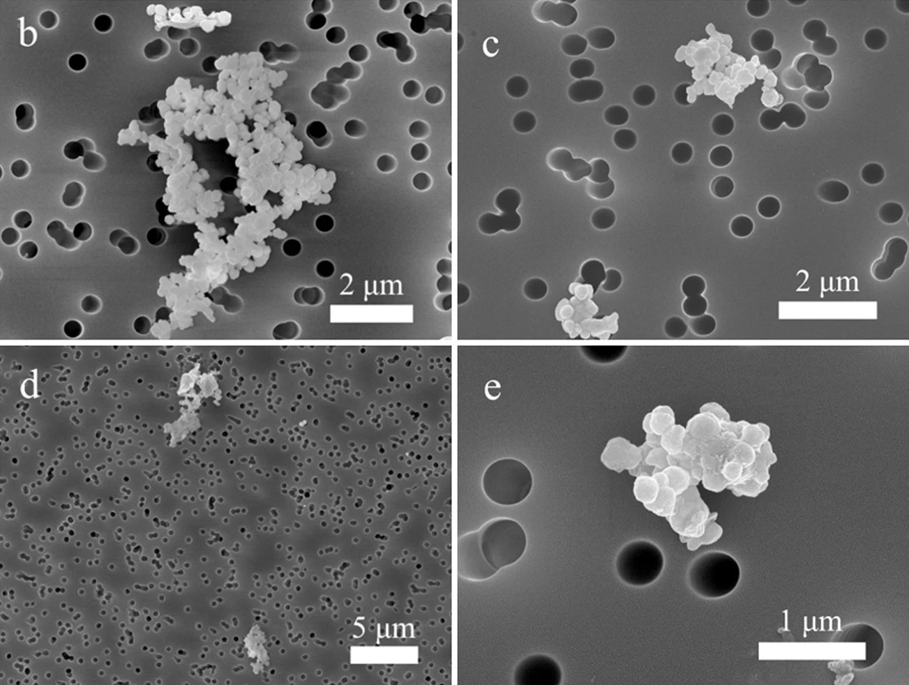 fyra svartvita bilder på nanopartiklar. Foto. 