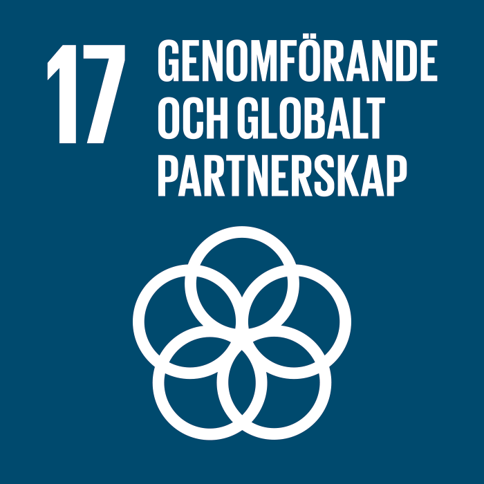 genomförande och globalt partnerskap. logotyp. 