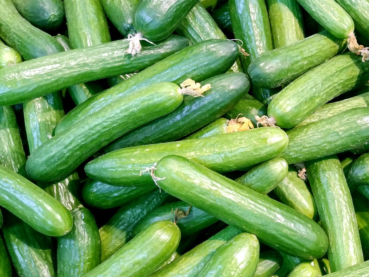 Foto av en hög med gurkor utan plastförpackning.