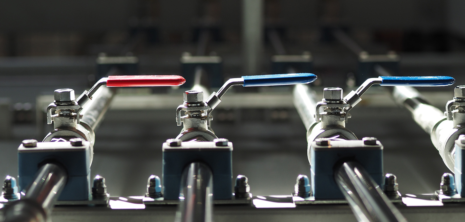 tree handles on pipes, one red and two blue. Photo. 