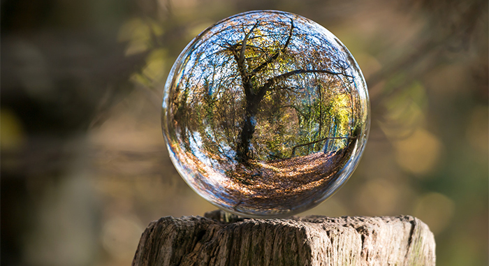 glass orb reflecting a forest around it. Photo. 